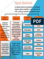 Mapa Conceptual - Peligros Químicos.pptx