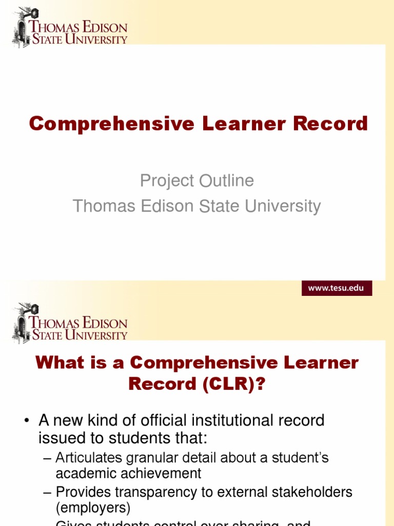 Comprehensive Learner Record Project Summary | PDF