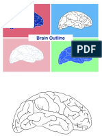 Brain Outline