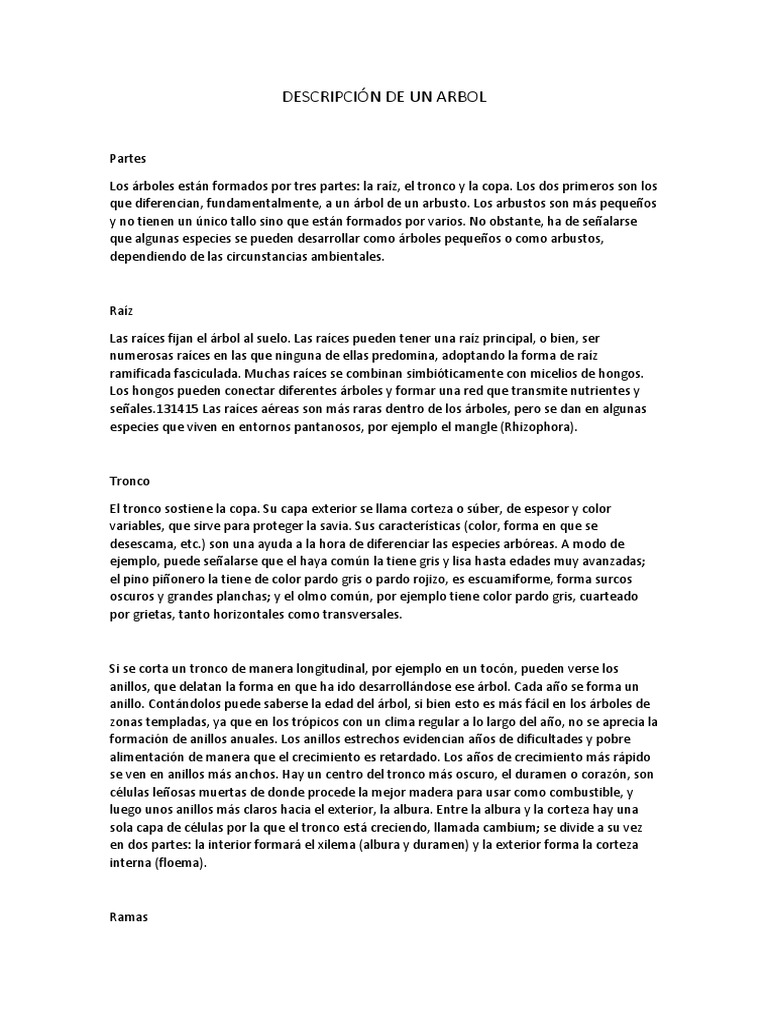 Descripción de Un Arbol | PDF | Arboles | Tallo de la planta