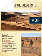 Relieful desertic