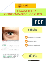 Malformaciones oculares congénitas