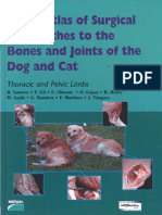 Color Atlas of Surgical Approaches To The Bones and Joints of The Dog and Cat, Thoracic and Pelvic Limbs (VetBooks - Ir)