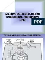Integrasi Jalur Metabolisme Karbohidrat, Protein Dan Lipid