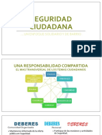 Seguridad Ciudadana 4- Peter Zeppel