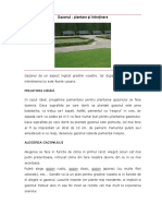 Gazon_x.pdf