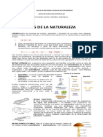 clasificacion seres vivos