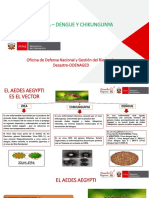 Enfermedades transmitidas por el mosquito Aedes aegypti: Zika, Dengue y Chikungunya