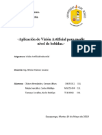 Proyecto Vision Artificial PDF