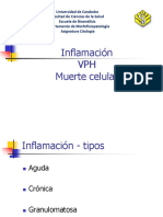 Clase n° 5 de Citología - Inflamación, VPH y Muert