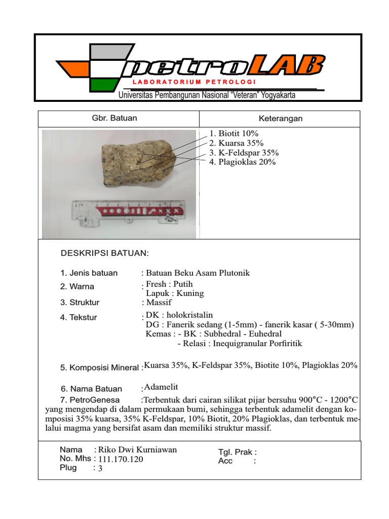 Adamelit: Batuan Beku Asam Plutonik | PDF