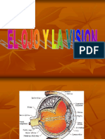 El Ojo y La Vision