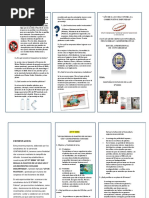 TRIPTICO R.pdf
