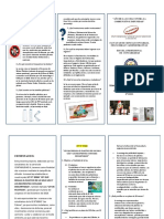 Triptico R PDF