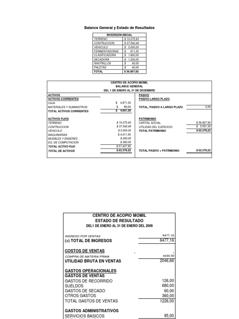 Balance General y Estado de Resultados | PDF | Hoja de balance | normas ...