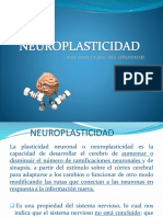 Neuroplasticidad CBV