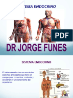 Sistema Endocrino