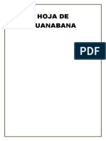 HOJA DE GUANABANA.docx