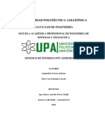 Sistema de Información Administrativa PDF
