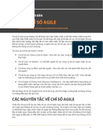 Huong Dan Can Ban Ve Cac Chi So Agile PDF