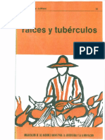 16_Raices y tuberculos.pdf