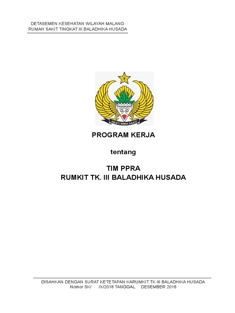 Program Kerja Tim PPRA Rumah Sakit | PDF