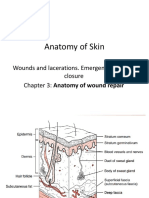 Anatomy of Skin: Wounds and Lacerations. Emergency Care and Closure Chapter 3: Anatomy of Wound Repair