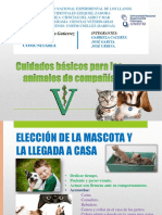 Cuidado de Los Animales Actividad Comunitaria