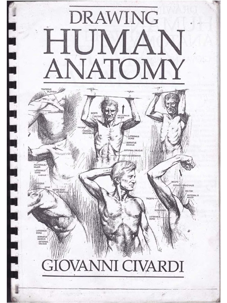 Drawing Human Anatomy by Giovanni Civardi PDF