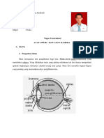 Fisika Alat Optik BAGAS XIPA1