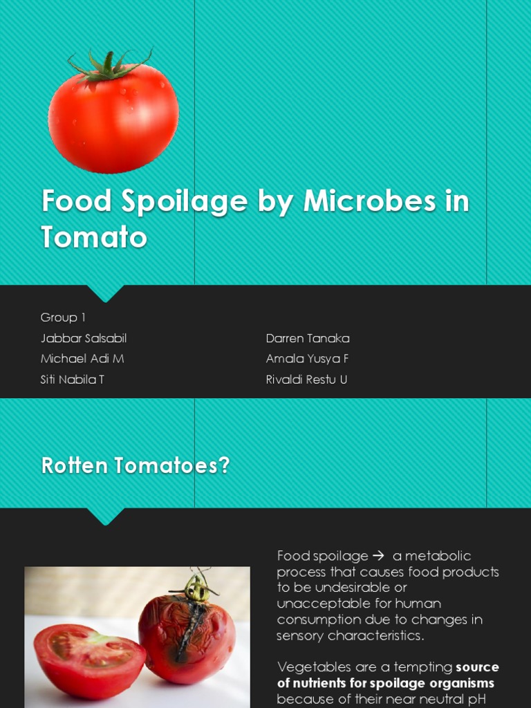 Microbial Spoilage of Tomatoes Explained | PDF | Decomposition ...