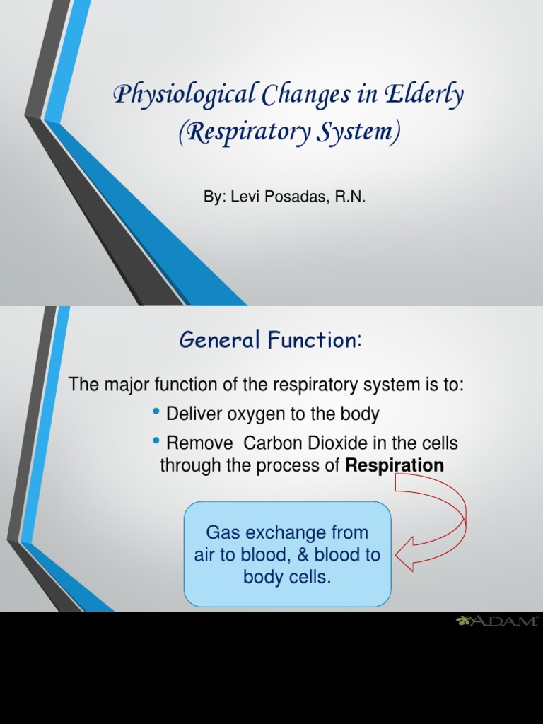 Physiological Changes in Elderly Respi | Respiratory Tract ...