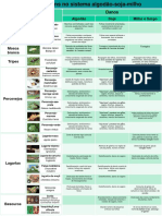 pôster  pragas comuns e especificas.pdf