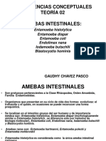 USPM - AMEBAS INTESTINALES.pdf