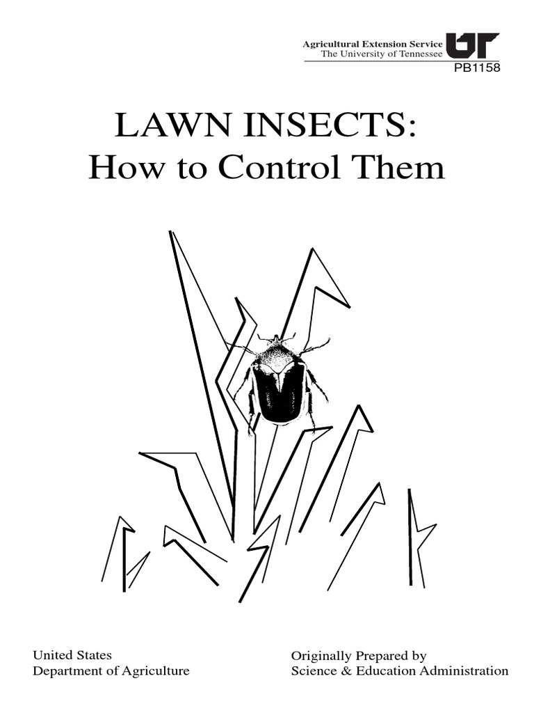 Lawn Insects PDF | PDF