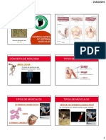 Generalidades de Sistema Muscular1