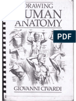 Drawing Human Anatomy by Giovanni Civardi PDF