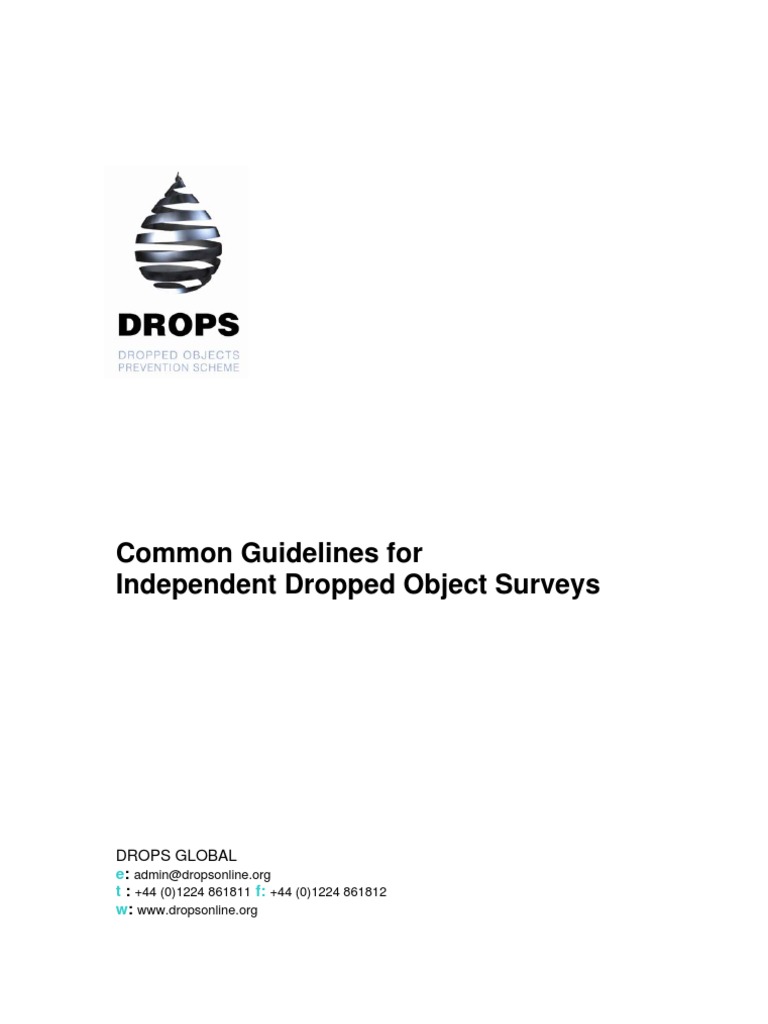 Common Guide Dropped Object Surveys Issue 02 Pdf Crane Machine