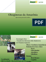 Apresentação AmazonOil 2019