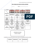 Instrumento Forma de Incisivo