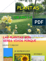 Las Plantas