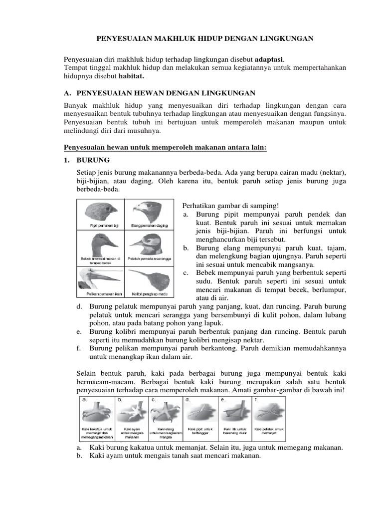 Penyesuaian Hewan Tumbuhan