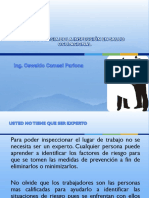 Metodologia de La Inspección en Salud Ocupacional