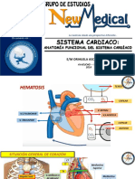 Caridologia Anatomia New Medical