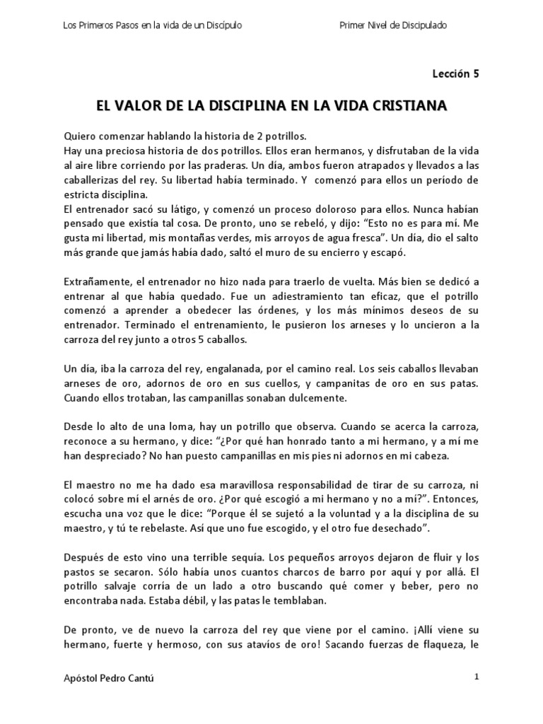 Disciplina en la Vida Cristiana | PDF | Disciplinas | Santo
