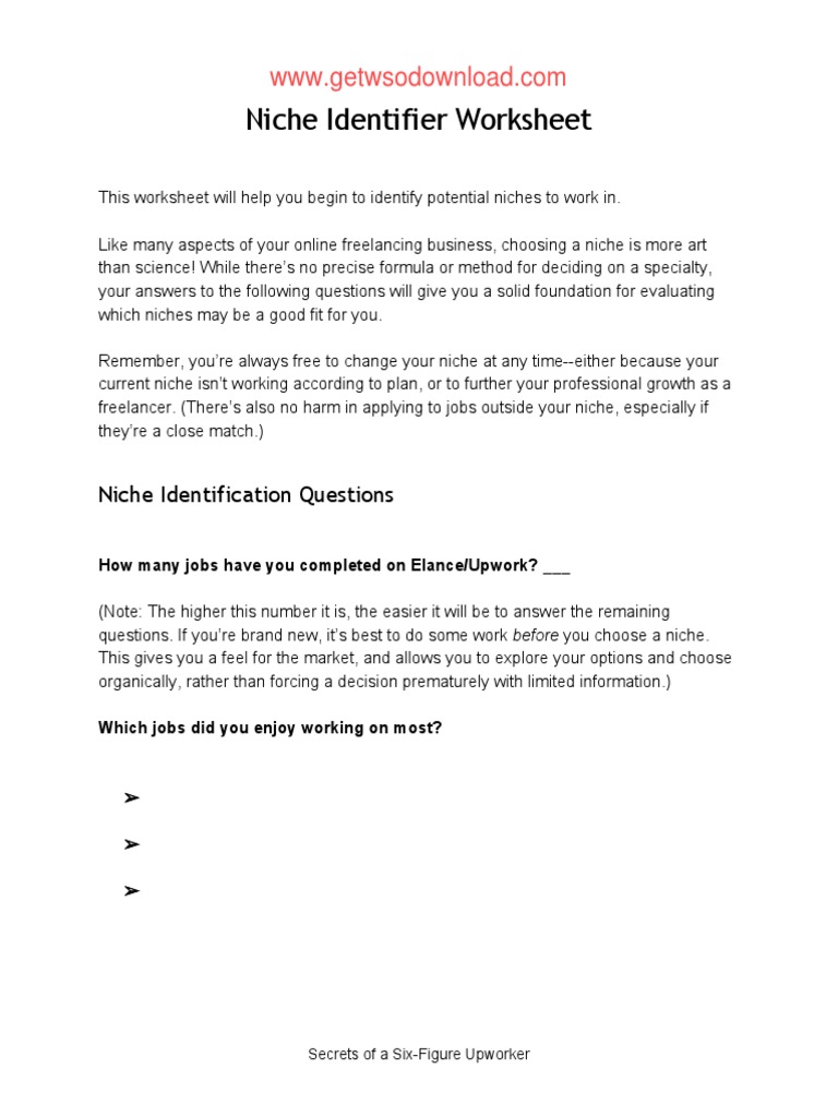 Niche Identification Worksheet | PDF | Cognition | Business