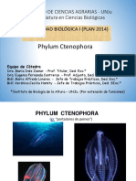 Phylum Ctenophora: portadores de peines marinos