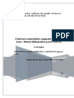 Fabricarea Materialelor Comozite Pe Bază de Lemn PDF