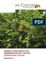 Manual Del Manejo Del Barrenador Final