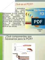 PCR